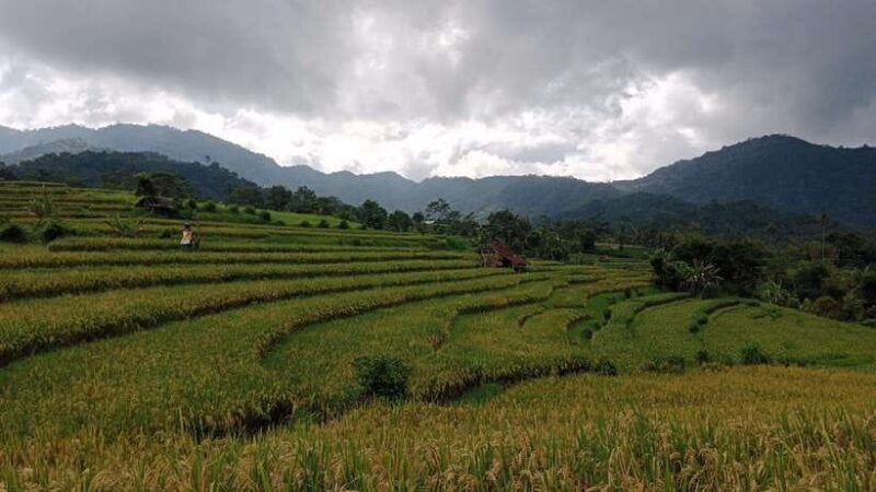 balisidemen-tour-guide