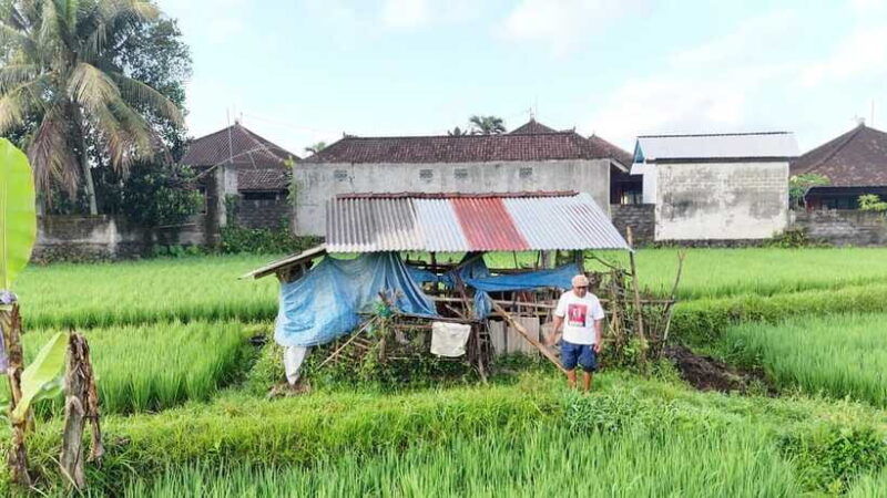 balisidemen-tour-guide