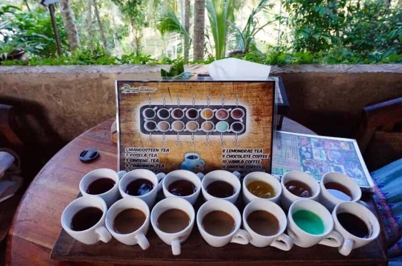 Bali:UTV Buggy Adventure with Zip-Line and Coffee Farm Visit - Practical Details and Considerations