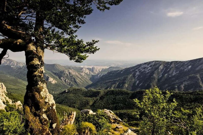 Balkans - Romania: 12-Days Motorcycle Tour 16.08. - 28.08.26 - Introduction to the Adventure