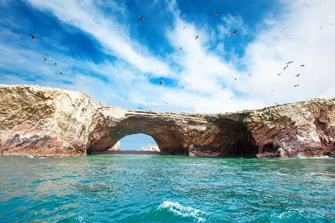 ballestas-and-paracas-from-lima-by-bus