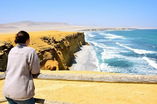 ballestas-islands-and-paracas-national-reserve-day-trip-from-paracas
