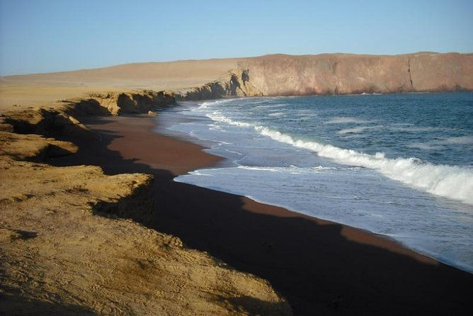 ballestas-islands-and-paracas-national-reserve-day-trip-from-paracas