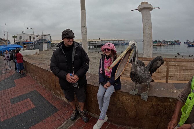 ballestas-islands-and-paracas-reserve-expedition-from-ica-group