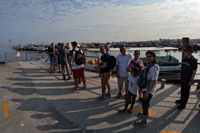 ballestas-islands-and-paracas-reserve-expedition-from-ica-group