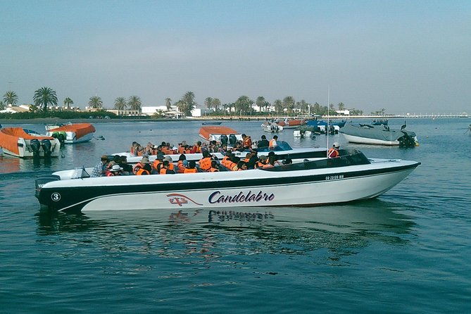 ballestas-islands-boat-tour-in-paracas
