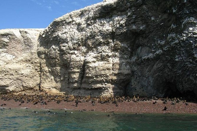 ballestas-islands-boat-tour-in-paracas
