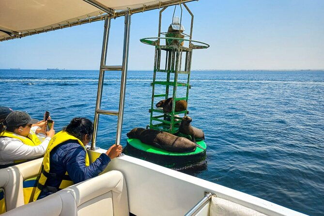 ballestas-islands-excursion-from-paracas