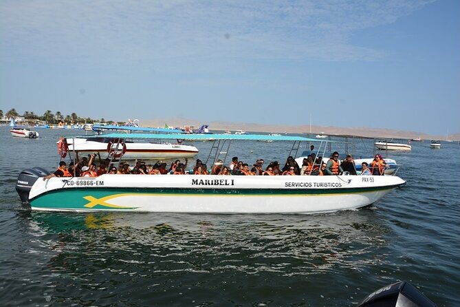 ballestas-islands-excursion-from-paracas