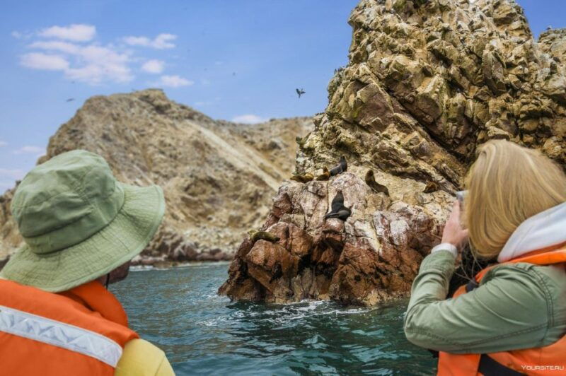 ballestas-islands-full-day