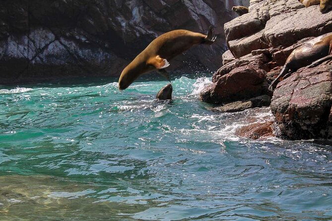 ballestas-islands-national-reserve-of-paracas-from-ica