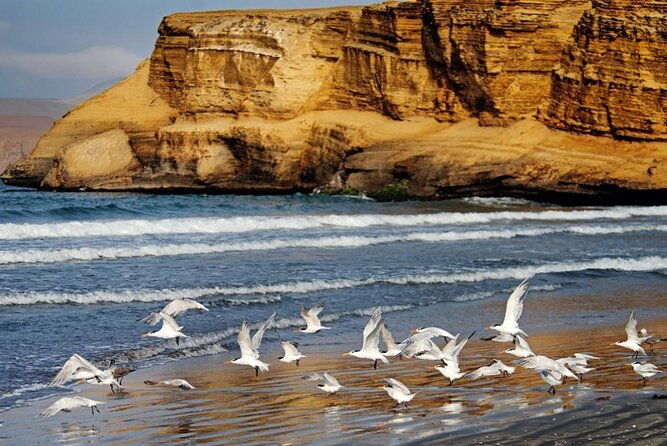 ballestas-islands-national-reserve-of-paracas-from-ica