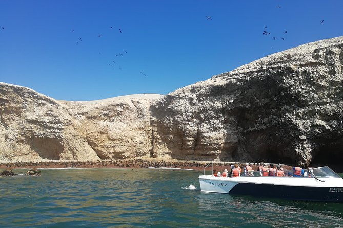 ballestas-islands-paracas-reserve-skulls-museum-private-tour