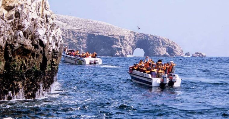 ballestas-islands-tour-2