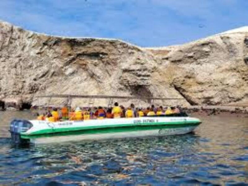 ballestas-islands-tour-3