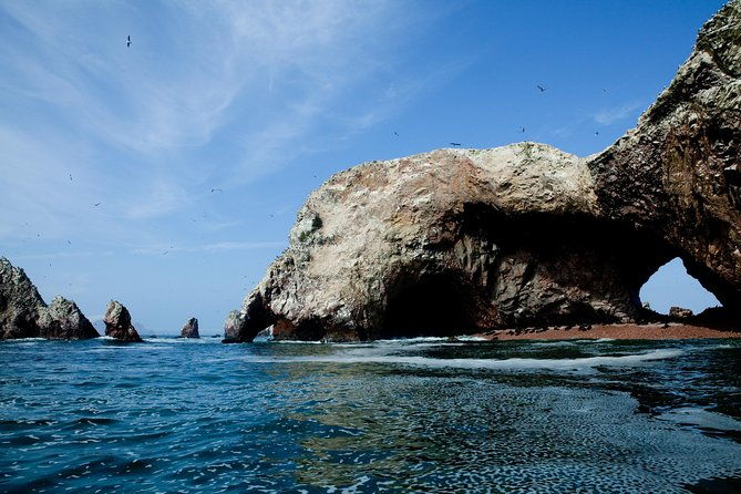 ballestas-islands-tour-from-pisco