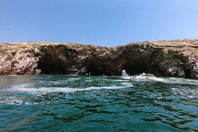 ballestas-islands-tour-from-puerto-san-martin-cruise