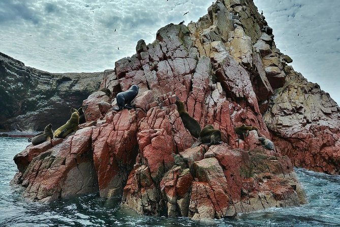 ballestas-islands-tour-paracas-reserve-from-lima-private-trip