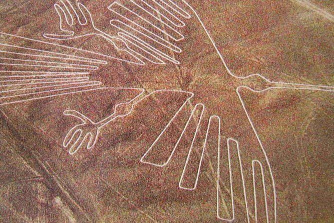 ballestas-islands-winery-nazca-lines-express-tour-from-lima