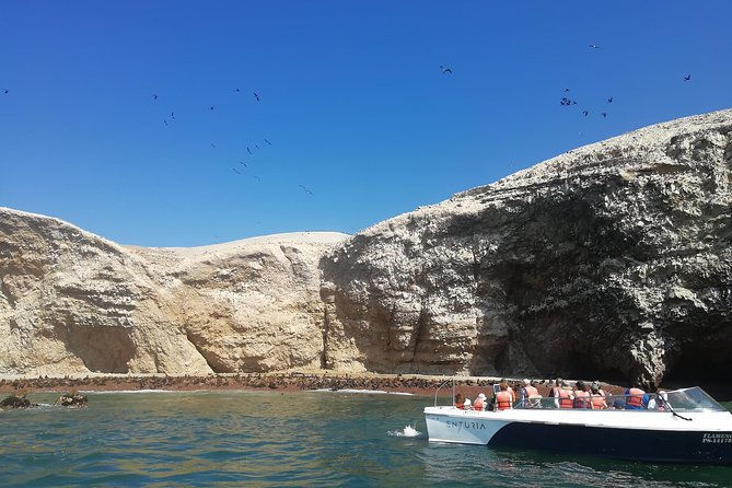 ballestas-islands-winery-nazca-lines-express-tour-from-lima