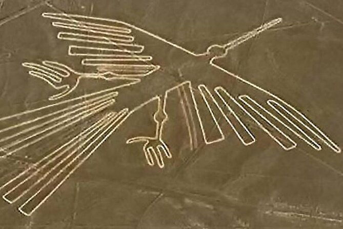 ballestas-paracas-nazca-lines-huacachina-2-days-experience