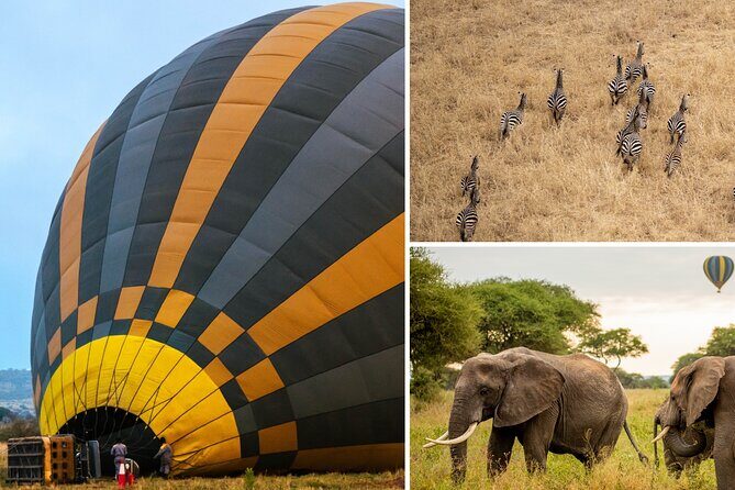 Balloon Safari & Bush Breakfast in Tarangire - Miracle Experience - Key Points