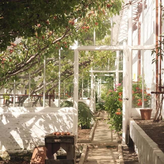 Ballymena: Walled Garden and Woodland Walk Entry Ticket - A Closer Look at the Walled Garden and Woodland Walk