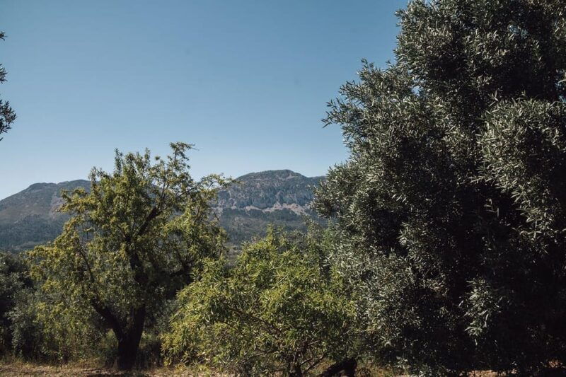 balones-guided-tour-tasting