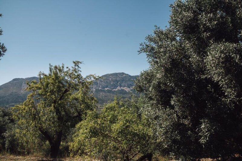 balones-guided-tour-tasting