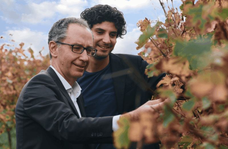 balsamic-vinegar-tasting-cellar-tour-near-parma-reggio