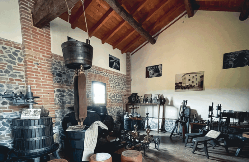 balsamic-vinegar-tasting-cellar-tour-near-parma-reggio