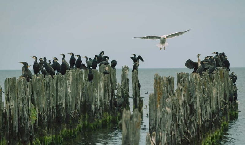 Baltic Sea Coastal Scenery and Cape Kolka From Riga - Key Points