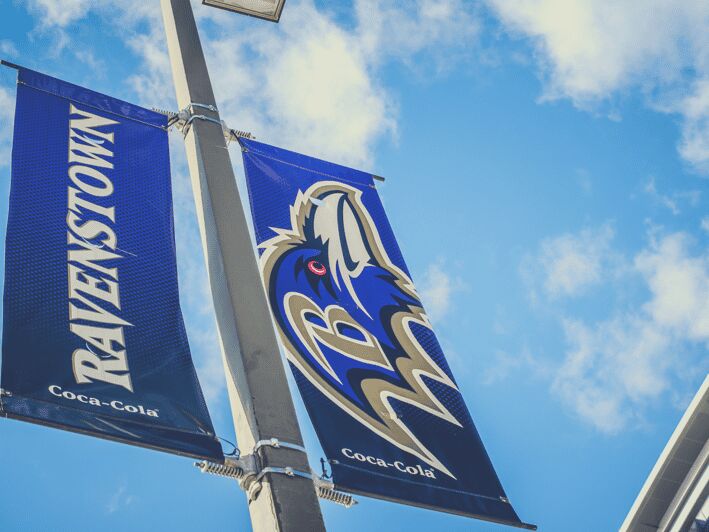 Baltimore: Ravens Football Game Ticket at M&T Bank Stadium - The Sum Up  