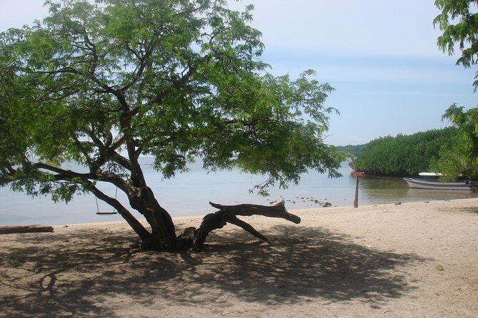 Baluran Trip - Key Points