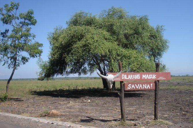 Baluran Trip - Detailed Breakdown of Each Stop