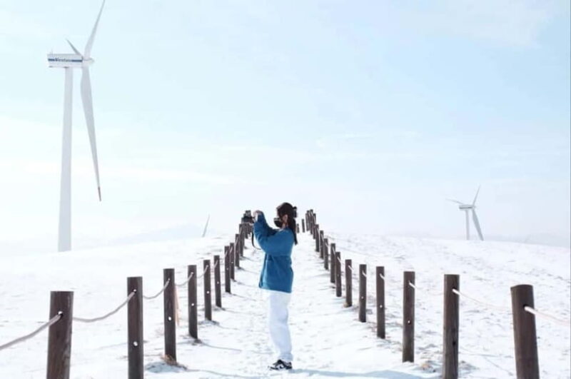 Balwangsan Cable Car & Samyang Ranch One Day Tour - An Overview of the Tour: What to Expect from Start to Finish