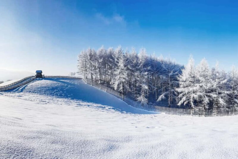 Balwangsan Cable Car & Samyang Ranch One Day Tour - Price and Value Analysis