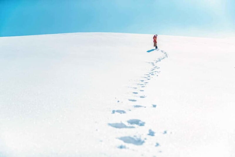 Balwangsan Cable Car & Samyang Ranch One Day Tour - Who Will Love This Tour?