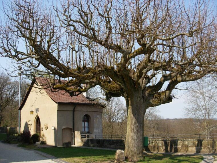 bamberg-altenburg-castle-tour