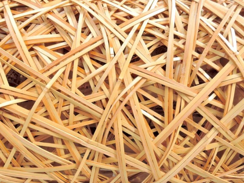 bamboo-artistry-zen-serenity-tranquility-with-ginkaku-ji