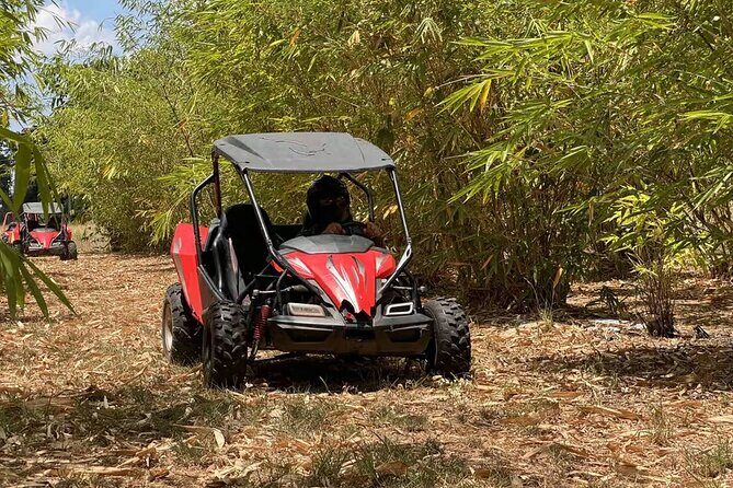 Bamboo Dune Buggy Tour - Key Points