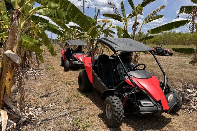 Bamboo Dune Buggy Tour - The Real-World Insights from Reviews