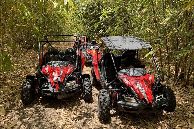 Bamboo Dune Buggy Tour - Practical Tips for Your Trip