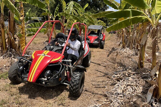 Bamboo Dune Buggy Tour - The Sum Up