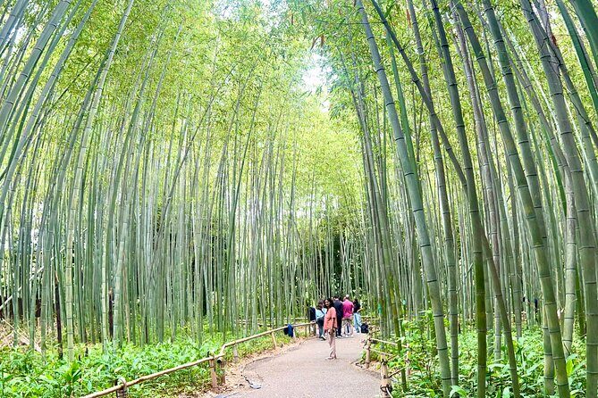 Bamboo Grove Temple and Garden Views Tour - An In-Depth Look at the Tour Itinerary