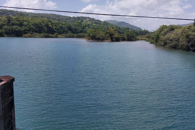 bamboo-rafting-and-boston-jerk-centre-tour-in-portland-jamaica