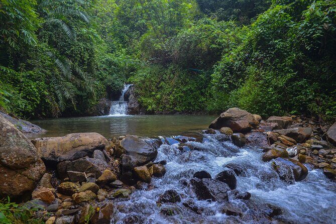 Bamboo Rafting and Monkey Cave with ATV Jungle from Phuket - Frequently Asked Questions
