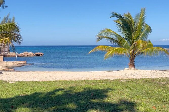 bamboo-rafting-horseback-ride-n-swim-guided-tour-in-montego-bay-2