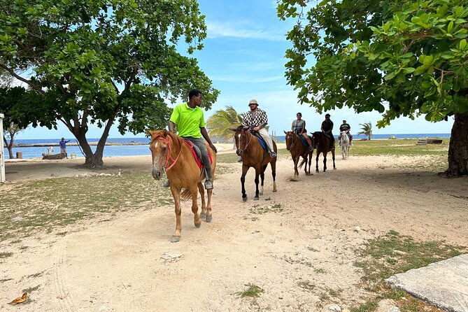 bamboo-rafting-horseback-ride-n-swim-guided-tour-in-montego-bay