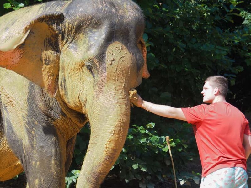 Bamboo Rafting, Waterfall, lunch, Elephant, and Turtle Tour - FAQ